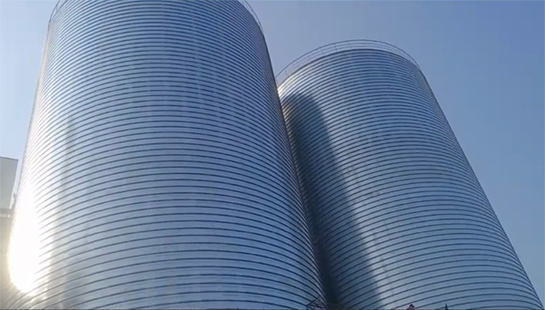 博尔塔拉2座混凝土高架卷板仓